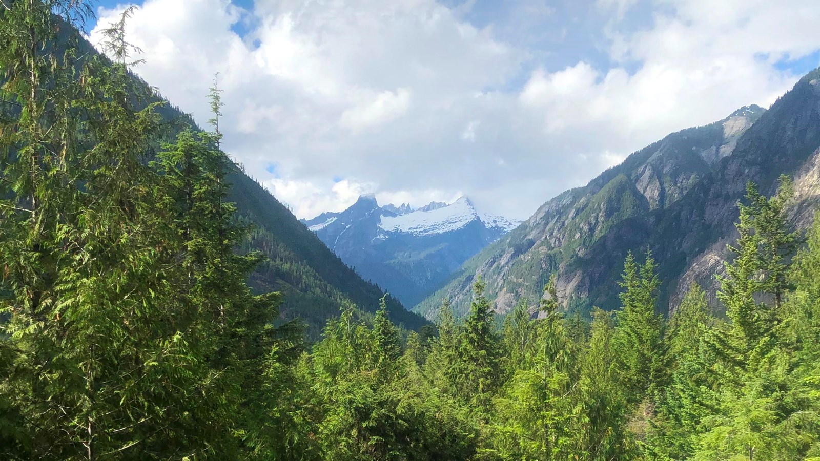 View of the rugged Picket Mountains and Terror Glacier from the Sterling Munro Boardwalk. 